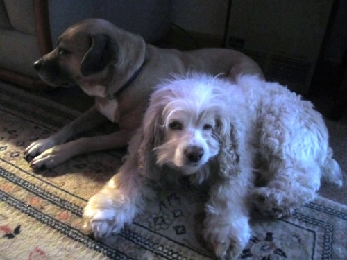 By dawn's early light