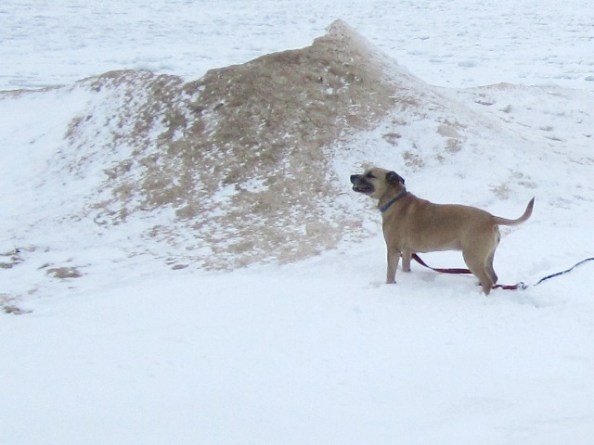 Miss Sadie by a blowhole