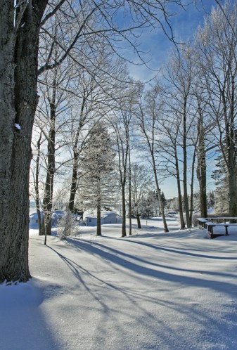 7 Snow in Blue Heaven 020813_0883