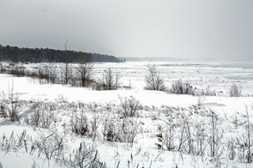 Bay in Winter 013113_0674