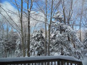 A glorious Saturday at the Writing Studio and Bait Shop