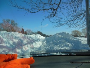 Orange is for winter