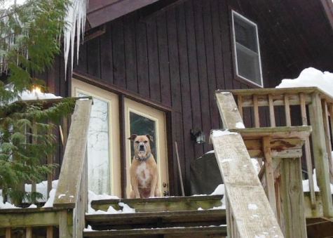 Well it's about time you got home