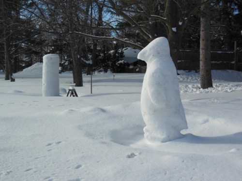 A penguin in Eastport