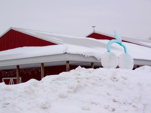 Frozen cherries at King Orchards