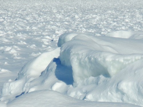 Ice shelf in February