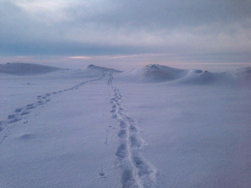 Grand Traverse Bay snowshoe trek - Bruce Laidlaw 1