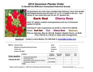 WHHS Geranium Planter Order