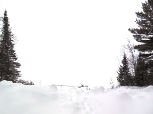 Whiteout over the Bay