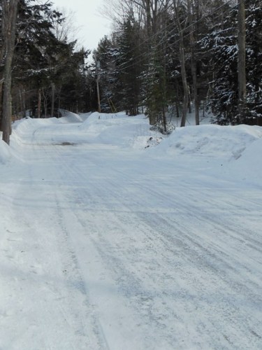 It's a long road to spring