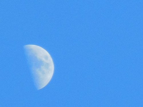 Half moon sun-bathing