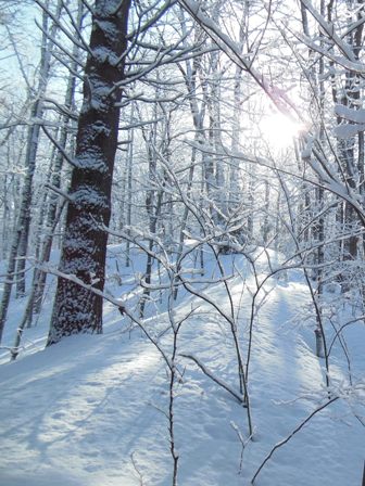 Royal Road to the Sun