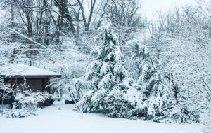 April 15 snow in Ann Arbor