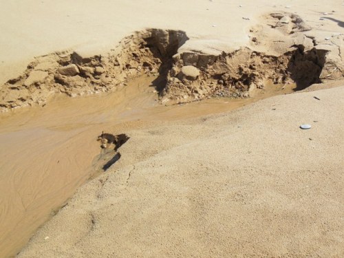 Geology in miniature