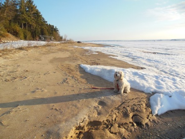 The Cowboy casts a long shadow