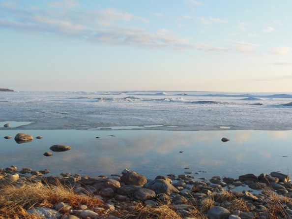 Early spring reflection