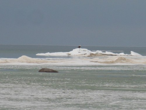 King of the Mountain