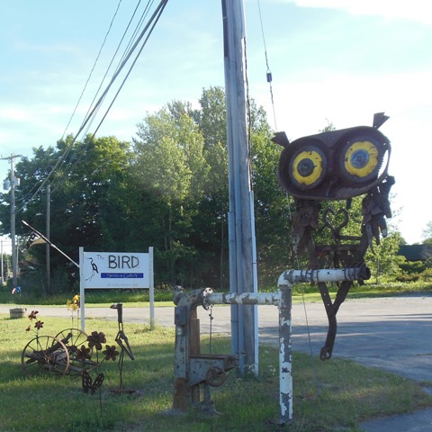 Bird Studio and Gallery