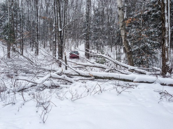 Winter Welcomes the Weatherman