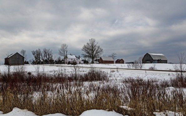 Babs Feb 7 Barnard Road in Winter
