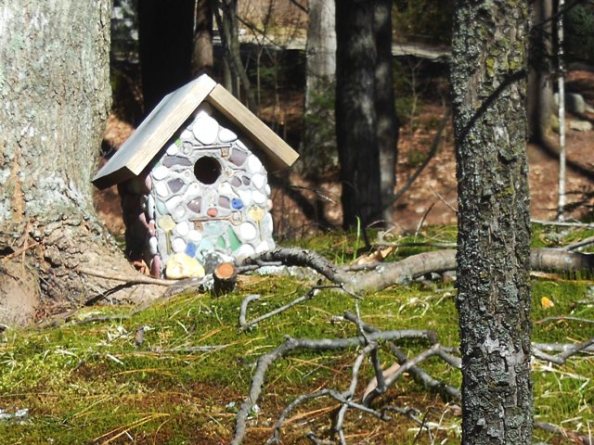 Birdhouse available - cheep