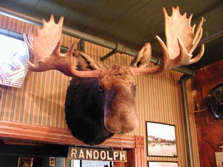 Randolph the Kissable Moose, a Traverse City Tradition