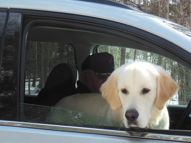 Rogie and Mickey say hello