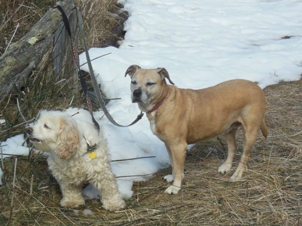 Yeah this is better than Key West - Sure it is