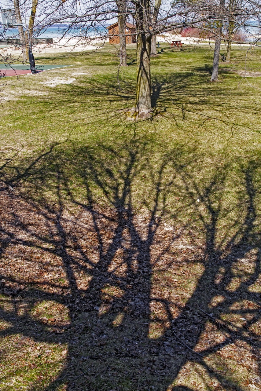 Webbed Shadows Spiderweb shadows | Torch Lake Views
