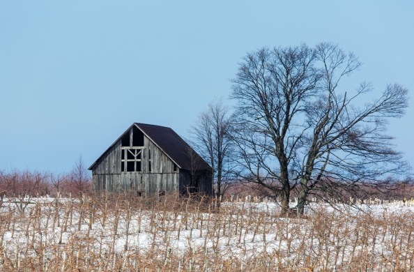 Babs Mar 27 shed.jpg