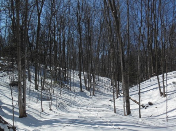 I've got a beautiful feeling