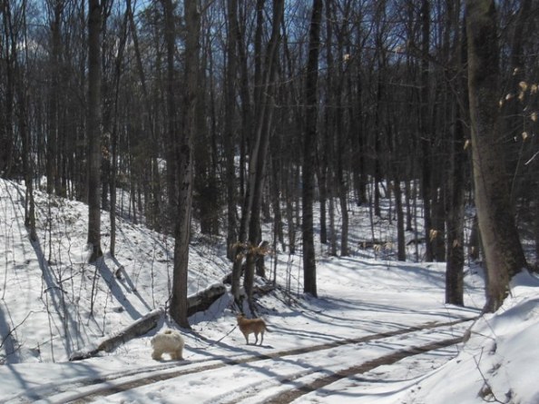 Oh what a beautiful day