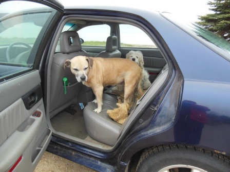 Well OK But It Is Not What We Had In Mind